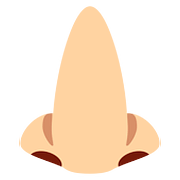 Emoji 👃🏼 Naso: Carnagione Abbastanza Chiara su Twitter Twemoji 2.6.