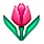 Émoji 🌷 Tulipe sur VKontakte(VK) 1.0.
