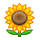 Emoji 🌻 Girasole su VKontakte(VK) 1.0.