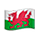 🏴󠁧󠁢󠁷󠁬󠁳󠁿 Emoji Bandeira: País De Gales na VKontakte(VK) 1.0.