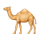 🐪 Emoji Camelo na VKontakte(VK) 1.0.