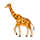 Émoji 🦒 Girafe sur VKontakte(VK) 1.0.