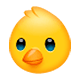 Emoji 🐤 Pulcino su WhatsApp 2.17.