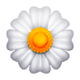 🌼 Emoji Flor en WhatsApp 2.17.