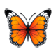 Émoji 🦋 Papillon sur WhatsApp 2.17.