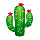 Emoji 🌵 Cactus su WhatsApp 2.17.