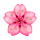 Émoji 🌸 Fleur De Cerisier sur WhatsApp 2.17.