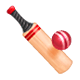 Emoji 🏏 Cricket su WhatsApp 2.17.
