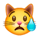 😿 Emoji Rosto De Gato Chorando na WhatsApp 2.17.