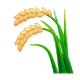 Émoji 🌾 Plant De Riz sur WhatsApp 2.17.