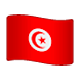 🇹🇳 Emoji Bandeira: Tunísia na WhatsApp 2.17.