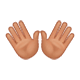 Émoji 👐🏽 Mains Ouvertes : Peau Légèrement Mate sur WhatsApp 2.17.