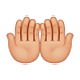 🤲🏼 Emoji Handflächen nach oben: mittelhelle Hautfarbe WhatsApp 2.17.