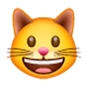 😺 Emoji Rosto De Gato Sorrindo na WhatsApp 2.17.