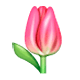 Emoji 🌷 Tulipano su WhatsApp 2.17.