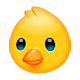 Emoji 🐤 Pulcino su WhatsApp 2.18.379.