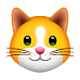 Emoji 🐱 Muso Di Gatto su WhatsApp 2.18.379.