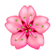 Émoji 🌸 Fleur De Cerisier sur WhatsApp 2.18.379.