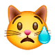 😿 Emoji Gato Llorando en WhatsApp 2.18.379.