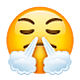 😤 Emoji schnaubendes Gesicht WhatsApp 2.18.379.
