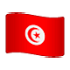 Émoji 🇹🇳 Drapeau : Tunisie sur WhatsApp 2.18.379.