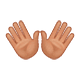 👐🏽 Emoji offene Hände: mittlere Hautfarbe WhatsApp 2.18.379.