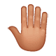 🤚🏽 Emoji Dorso Da Mão Levantado: Pele Morena na WhatsApp 2.18.379.