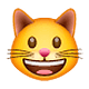 😺 Emoji Gato Sonriendo en WhatsApp 2.18.379.