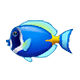 Emoji 🐠 Pesce Tropicale su WhatsApp 2.18.379.