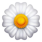 🌼 Emoji Flor en WhatsApp 2.19.244.
