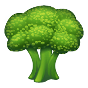 🥦 Emoji Brócoli en WhatsApp 2.19.244.