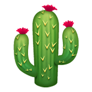 Emoji 🌵 Cactus su WhatsApp 2.19.244.