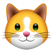 Emoji 🐱 Muso Di Gatto su WhatsApp 2.19.244.