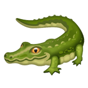 Émoji 🐊 Crocodile sur WhatsApp 2.19.244.