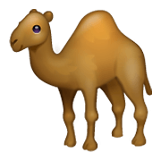 🐪 Emoji Camelo na WhatsApp 2.19.244.