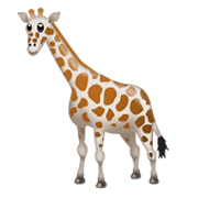 Émoji 🦒 Girafe sur WhatsApp 2.19.244.