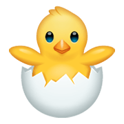 Emoji 🐣 Pulcino Che Nasce su WhatsApp 2.19.244.