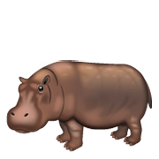 🦛 Emoji Hipopótamo na WhatsApp 2.19.244.