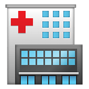 Emoji 🏥 Ospedale su WhatsApp 2.19.244.