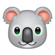 🐨 Emoji Koala en WhatsApp 2.19.244.