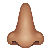 👃🏽 Emoji Nase: mittlere Hautfarbe WhatsApp 2.19.244.