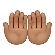 🤲🏽 Emoji Handflächen nach oben: mittlere Hautfarbe WhatsApp 2.19.244.