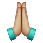 🙏🏼 Emoji betende Hände: mittelhelle Hautfarbe WhatsApp 2.19.244.