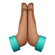 🙏🏽 Emoji Manos En Oración: Tono De Piel Medio en WhatsApp 2.19.244.