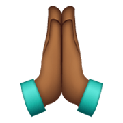 🙏🏾 Emoji Manos En Oración: Tono De Piel Oscuro Medio en WhatsApp 2.19.244.