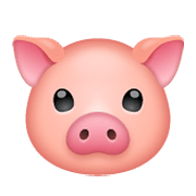 🐷 Emoji Schweinegesicht WhatsApp 2.19.244.