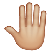🤚🏼 Emoji erhobene Hand von hinten: mittelhelle Hautfarbe WhatsApp 2.19.244.