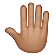 Emoji 🤚🏽 Dorso Mano Alzata: Carnagione Olivastra su WhatsApp 2.19.244.