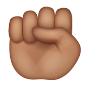 Emoji ✊🏽 Pugno: Carnagione Olivastra su WhatsApp 2.19.244.