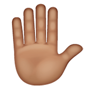 ✋🏽 Emoji erhobene Hand: mittlere Hautfarbe WhatsApp 2.19.244.